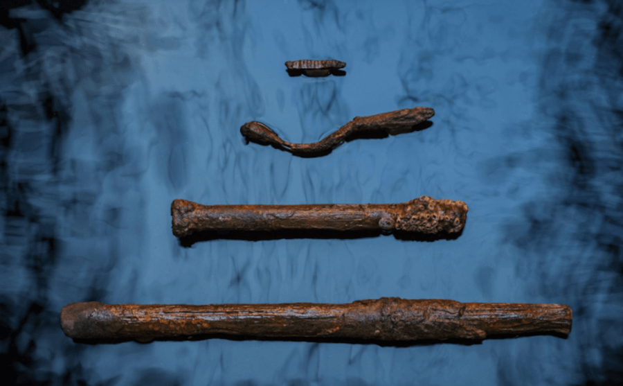 Pieces Of The Slave Ship Clotilda