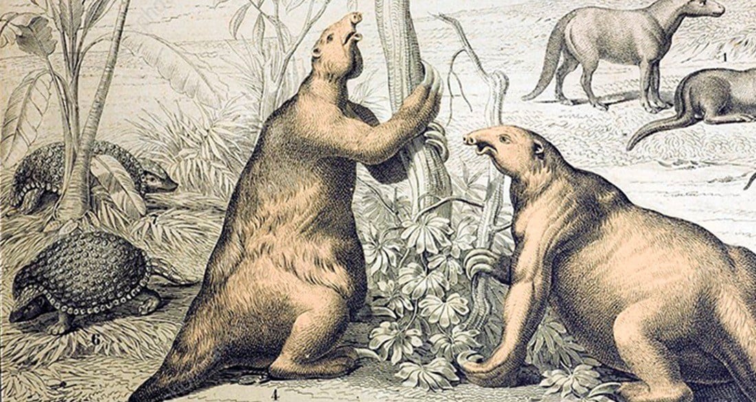 prehistoric sloth