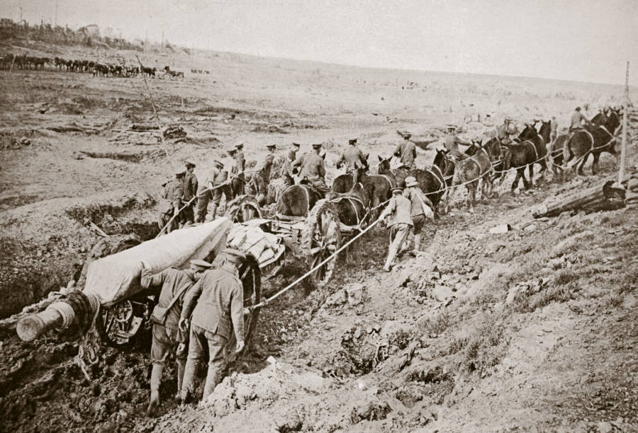 Horses Carrying Supplies