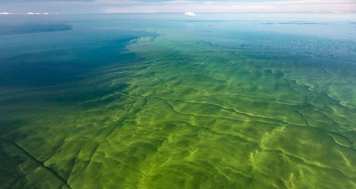 Lake Erie Now Has The Same Legal Rights As People