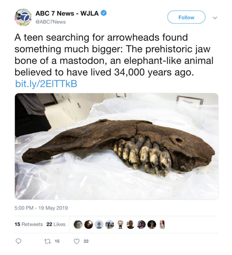 Mastodon Jaw Bone Tweet