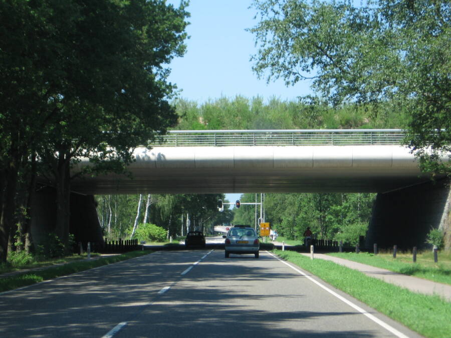 Natuurbrug Zanderij Crailoo
