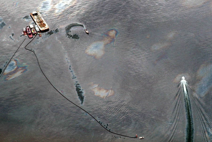 Oil Spill Exxon 