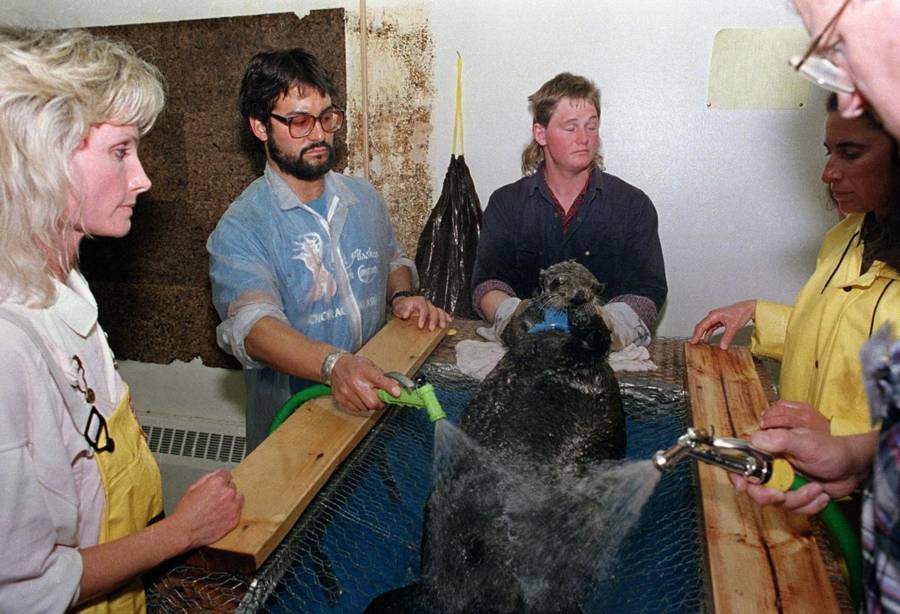 The Exxon Valdez Oil Spill In 33 Devastating Photos