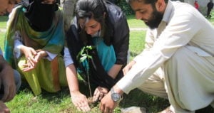 Planting Trees In Pakistan