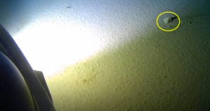 Plastic In Mariana Trench