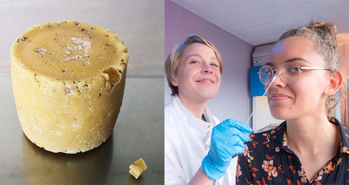 "Human Cheese": Museum Displays Cheese Made From Armpit Bacteria