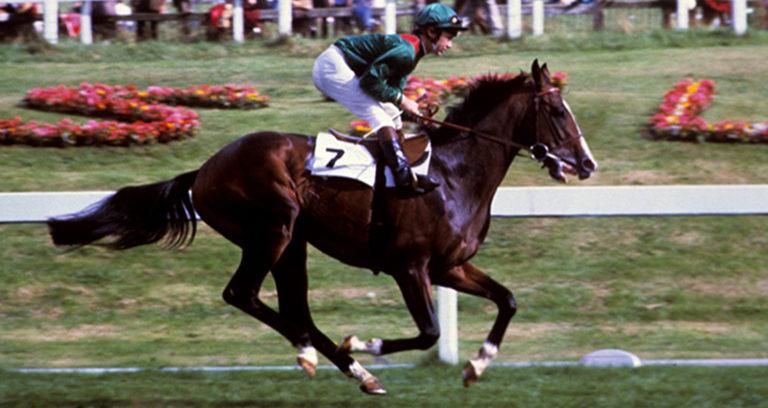 Shergar Midair Gallop Featured