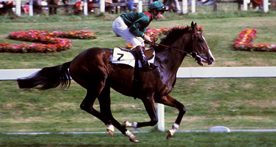 Shergar Shergar