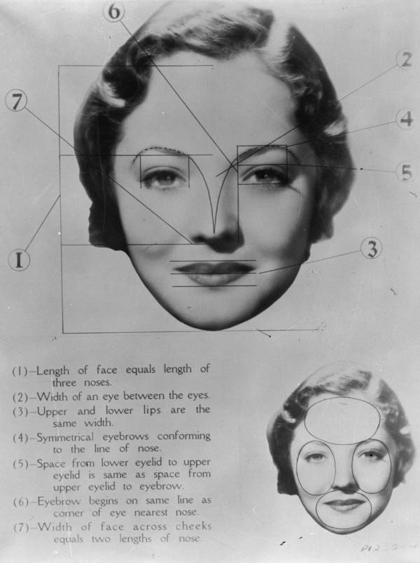 Map Of Actress Sylvia Sidney's Proportions