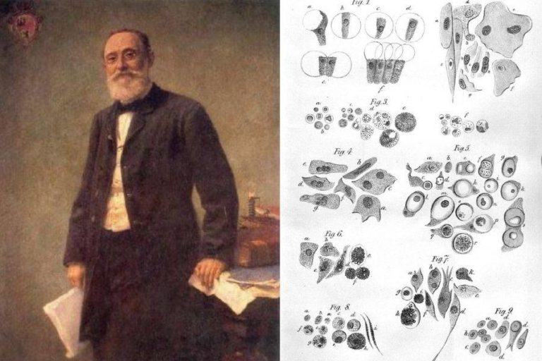 Rudolf Virchow: The "Pope Of Medicine" Who Discovered Leukemia