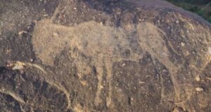 Ancient Animal Carving Vredefort