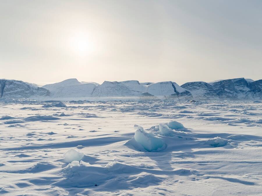 Icebergs Greenland