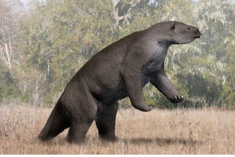 amazon reports prehistoric creature