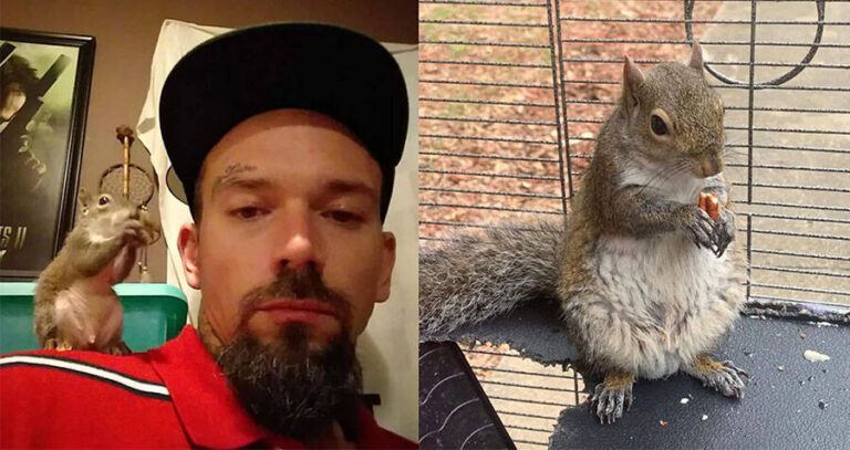 Paulk And Squirrel