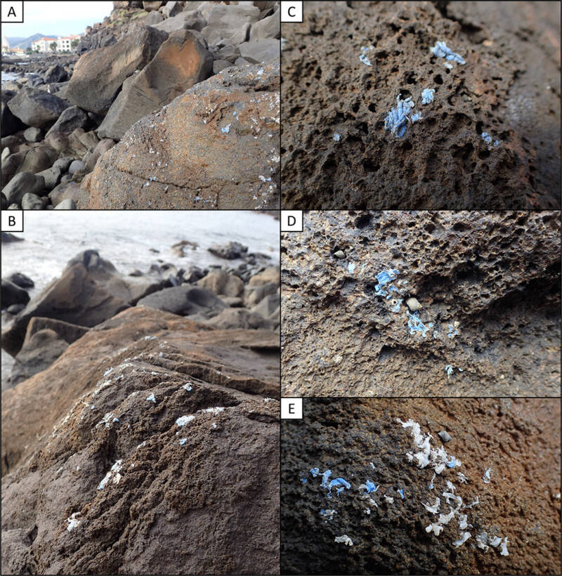 Plasticrust Evidence