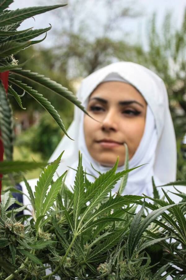 Sister Of The Valley Tends To Weed