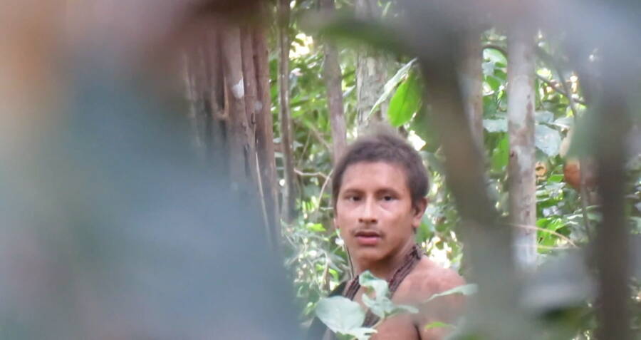 awa tribe land hectares bacanga