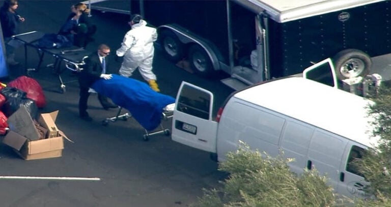 Carting Corpses Out Of Biological Resource Center