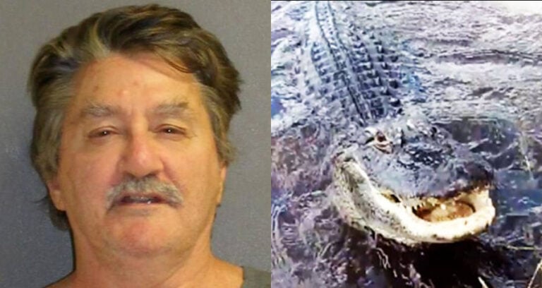 Paul Fortin And Hank The Gator