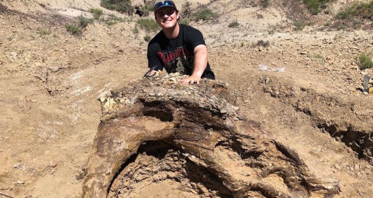 Harrison Duran Triceratops Featured