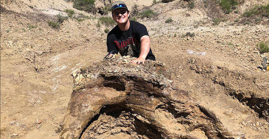 Harrison Duran Discovers Triceratops Skull