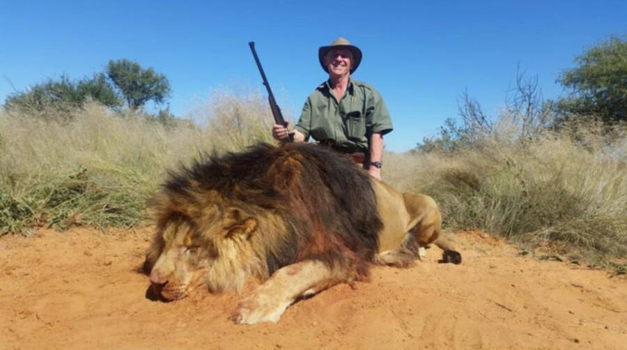 Caçador Sorri Com Leão Morto