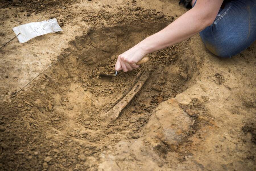 Leg Bone At Waterloo Excavation