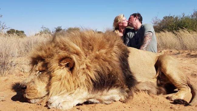 Trophy Hunters Kiss Near Dead Lion