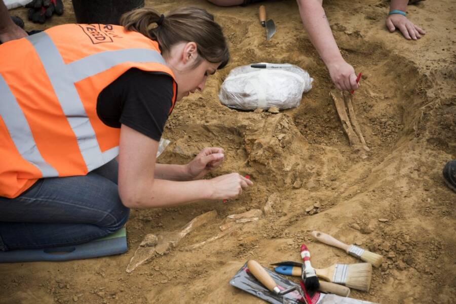 Escavação de ossos de Waterloo