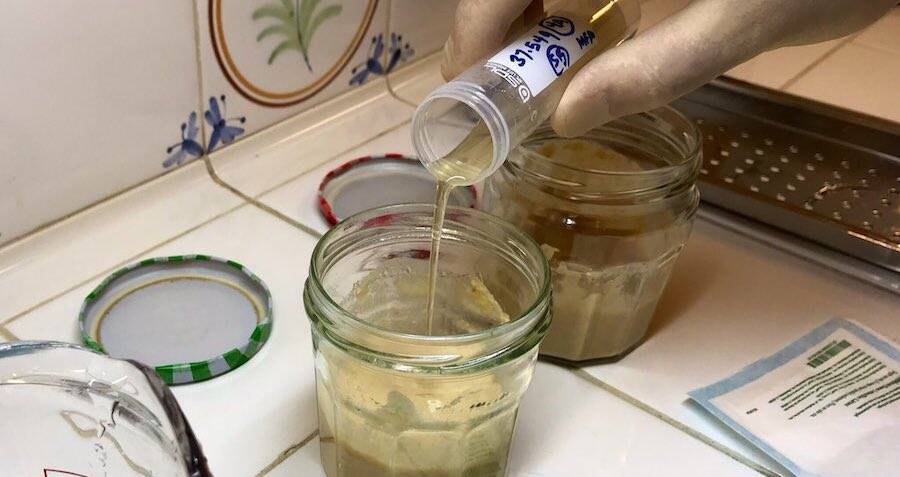 Scientist Baker Collects 4,500-Year-Old Yeast To Make Ancient Bread