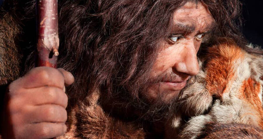 What Are Neanderthals? Meet Humanity's Relative Who Went Extinct 40,000 ...