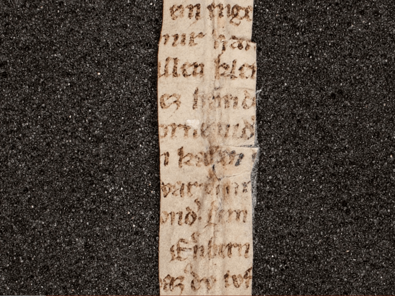 Fragment Of The Rose Thorn Poem