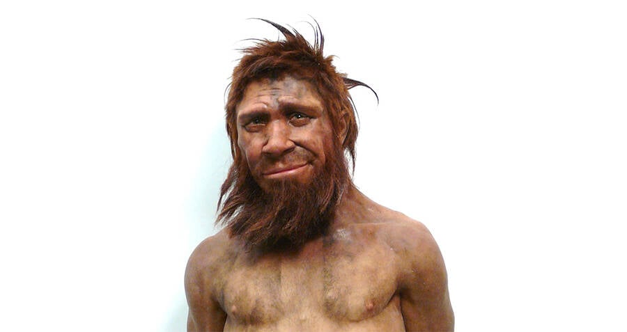 Neanderthals: The Extinct Human That May Still Be In Our Genes