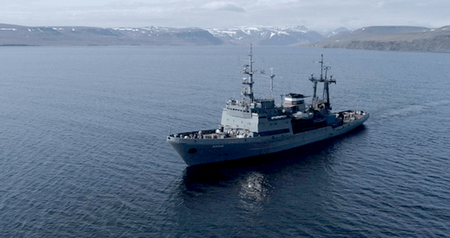 Mother Walrus Sinks Russian Naval Boat During Arctic Expedition