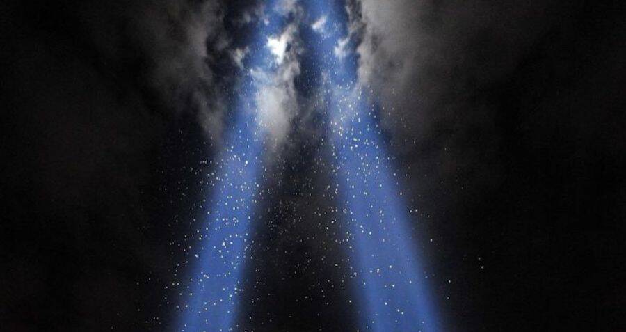 160,000 Birds Get Trapped In The 9/11 Memorial Lights Every Year