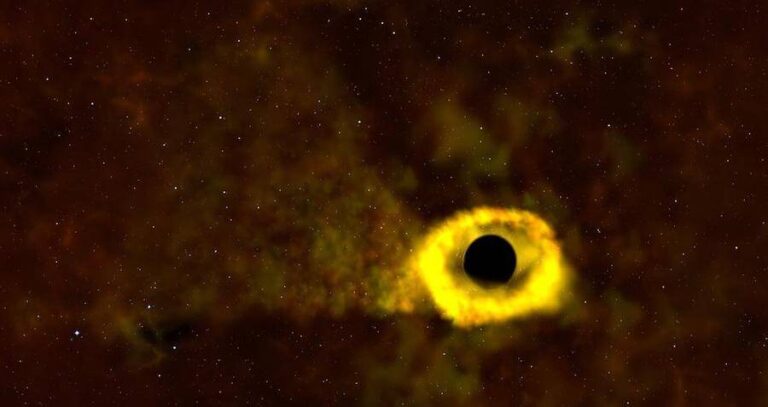 Black Hole Destroying Star