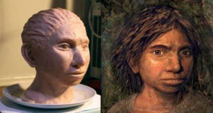 Denisovan Facial Reconstruction