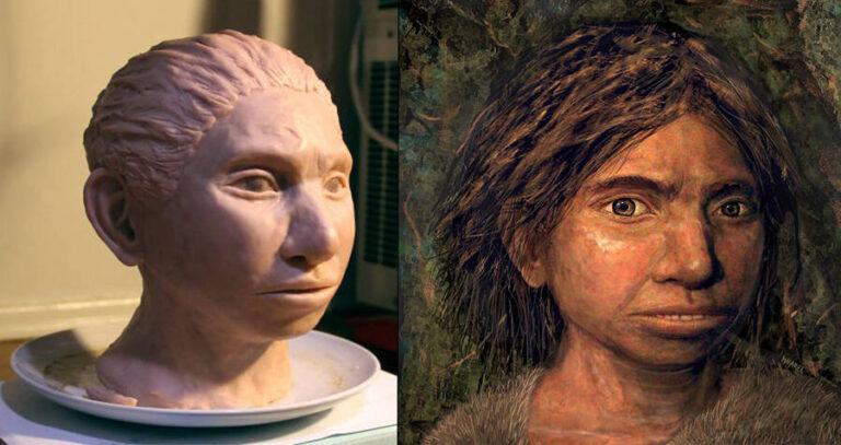 Denisovan Facial Reconstruction
