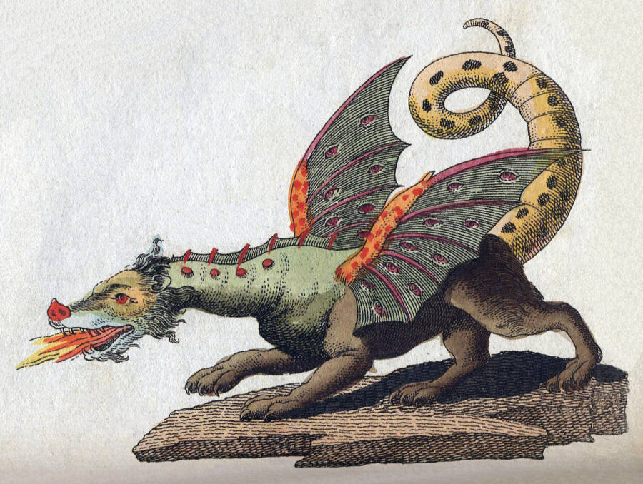 Dragon Drawing By Friedrich Johann Justin Bertuch