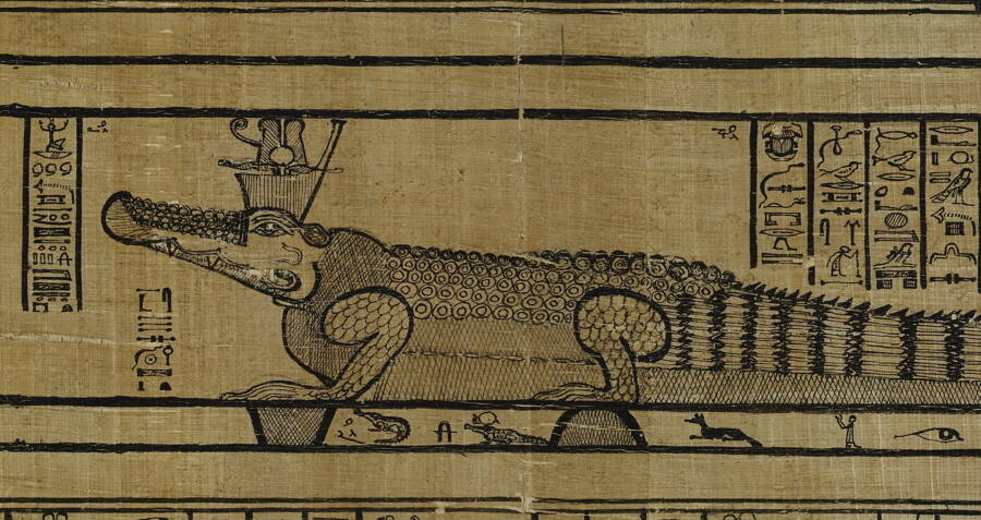 Ancient Egyptians Hunted Crocodiles Just To Mummify Them
