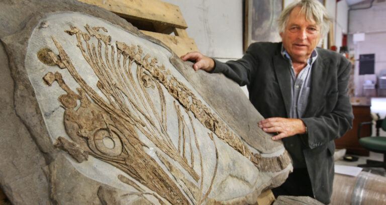 Ichthyosaurus Fossil And Julian Temperley