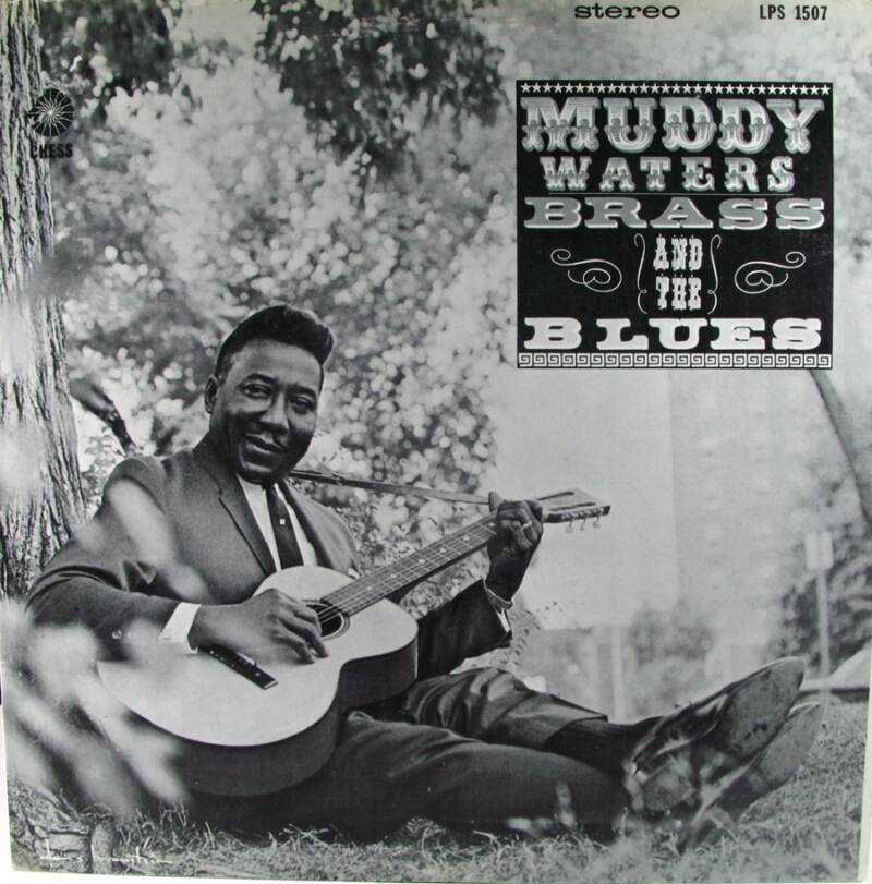 Muddy Waters Album
