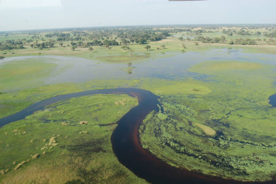 Okavango Delta In Botswana