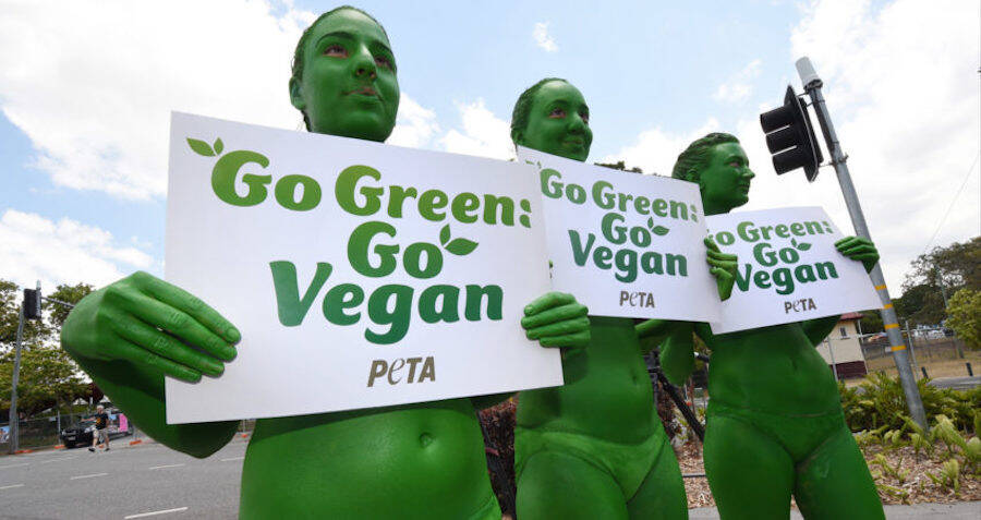 Study Finds Discrimination Against Vegans On Par With Other Minorities