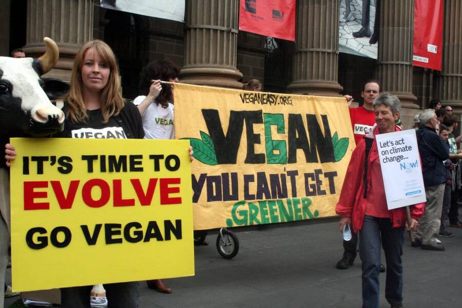 Vegan Protestors With Evolution Signs