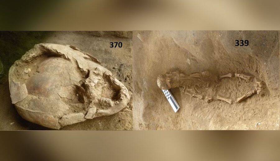 Ecuadorian Skull Helmet And Human Remains