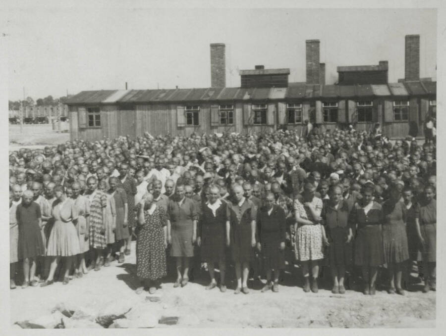 Female Prisoners At Birkenau