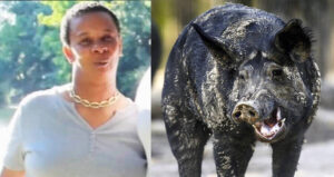 Feral Hogs Kill Woman