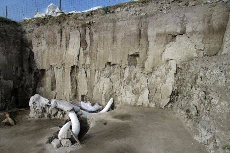 15,000-Year-Old Woolly Mammoth Traps Discovered Near Mexico City